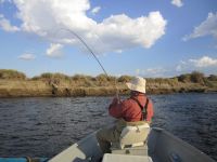 Fly fishing picture