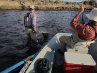 Fly fishing picture