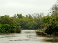 Foto de pesca con mosca