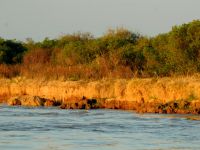 Foto de pesca con mosca