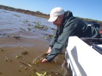 Foto de pesca con mosca