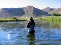 Thick trico hatch along Silver Creek. Bryan Huskey Photo