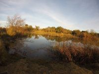 Foto de pesca con mosca