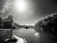 Fly fishing picture