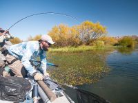 Fly fishing picture