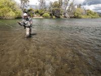 Fly fishing picture