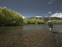 Fly fishing picture