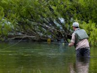 Fly fishing picture