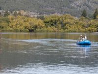 Fly fishing picture