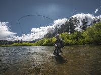 Fly fishing picture