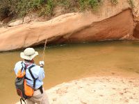 Pozo del Surubi, Rio Dorado