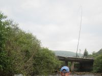 Fly fishing picture