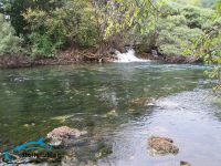 Foto de pesca con mosca