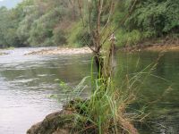 Foto de pesca con mosca