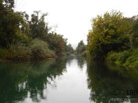 Enchanting beauty of Ljubljanica river, Slovenia