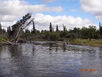 Foto de pesca con mosca