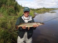 Northern pike con Wolly Bugger.