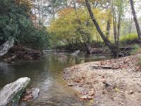 Fly fishing picture