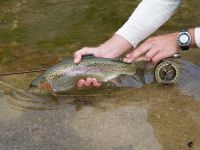 Fly fishing picture