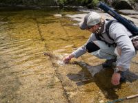 Fly fishing picture