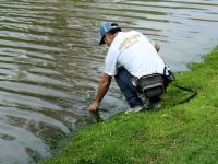 Fly fishing picture