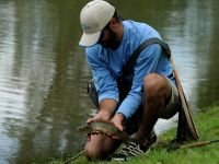 Fly fishing picture