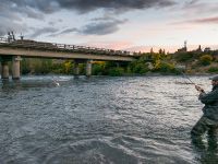 Fly fishing picture