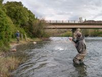 Fly fishing picture