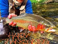 Fly fishing picture