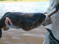 Foto de pesca con mosca