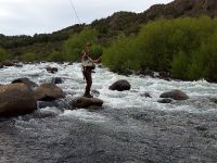 Fly fishing picture