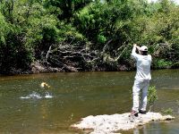 Foto de pesca con mosca