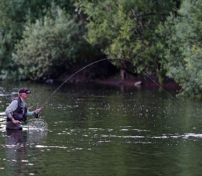 The Sotheby's Guide to Fly-Fishing for Trout