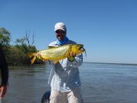 Fly fishing picture