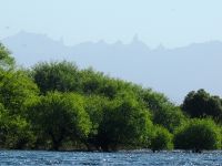 Foto de pesca con mosca