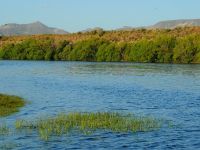 Foto de pesca con mosca