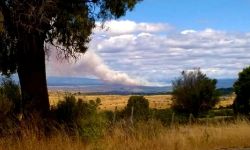 Noticias - Parque Nacional Los Alerces: el fuego ya afectó 1.600 hectáreas