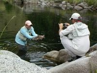 Fly fishing picture