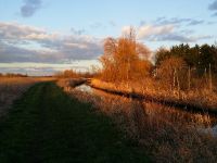 A stunning evening for pike on the fly