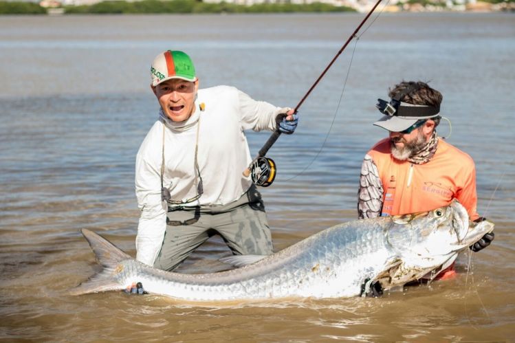Fly-fishing Picture of Tarpon shared by Gerson Kavamoto – Fly dreamers