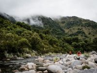 Fly fishing picture