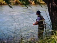 Fly fishing picture