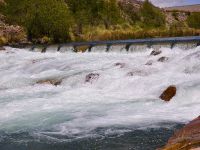 Fly fishing picture