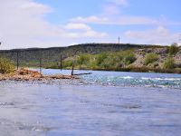 Fly fishing picture