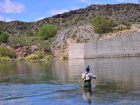 Fly fishing picture