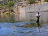 Fly fishing picture