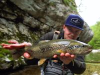 Fly fishing picture