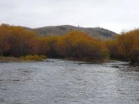 El otoño en el malleo medio