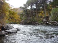 Fly fishing picture