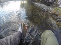 Fly fishing picture